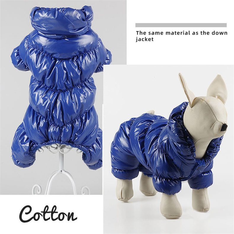 Main-04 luxury dog coat.jpg